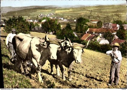 CPSM Folklore le Morvan Autun