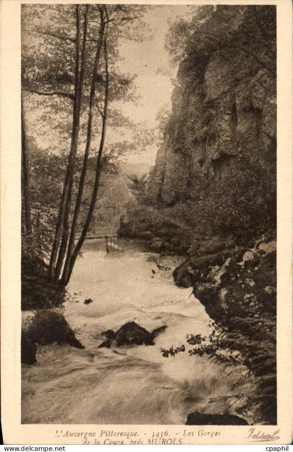 Auvergne Pittoresque - Les Gorges - CPA