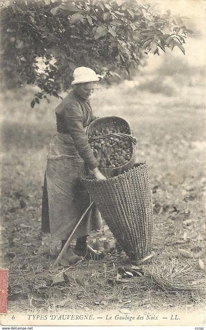 CPA Auvergne Le Gaulage des Noix