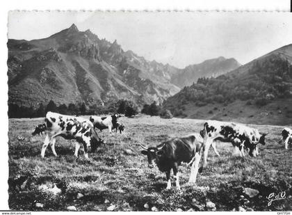 CPA AUVERGNE -vallée d'enfer au pied du sancy