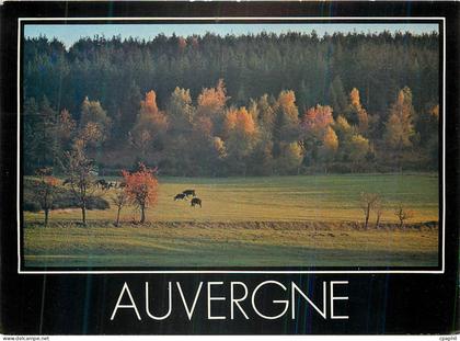 CPM Auvergne il etait un fois l'auvergne