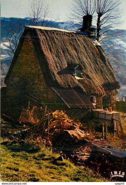 CPM En Auvergne Vieux Buron