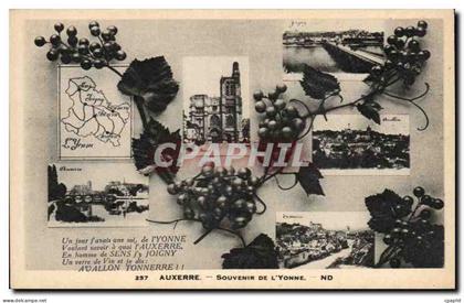 CPA Auxerre Souvenir de l'Yonne