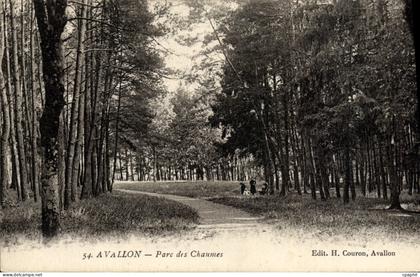 CPA Avallon Parc Des Chaumes
