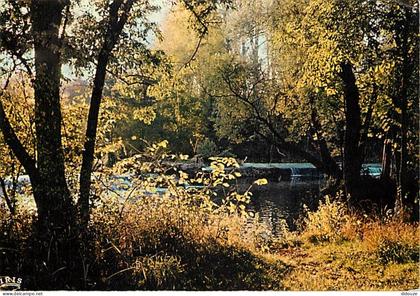 Carte Postale - 77 - Bagneaux sur Loing - Les barrages sur le Loing au moulin de Glandelle - CPM - Voir Scans Recto-Vers