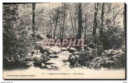 CPA Bagneres de Bigorre Sous Bois