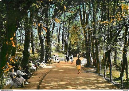 Carte Postale - 61 - Bagnoles de l'Orne - L'Allée du Dante - Flamme Postale de Bagnoles de l'Orne - CPM - Voir Scans Rec