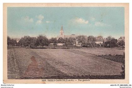AUSP3-0262-77 - BAILLY-CARROIS - Vue générale