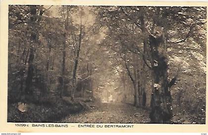 CPA Bains-les-Bains Entrée du Bertramont