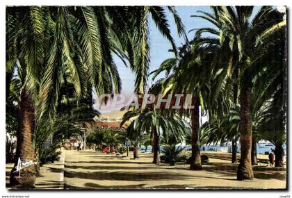 Bandol - Allees Alfred Vivien - CPA