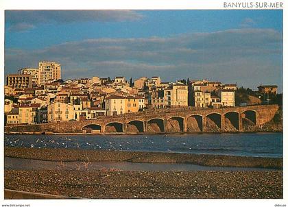 Carte Postale - 66 - Banyuls sur Mer - Le haut Banyuls - CPM - Voir Scans Recto-Verso - Poscard - Carta Postal -  Postka