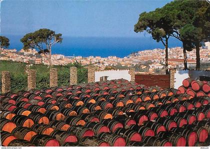Carte Postale - 66 - Banyuls sur Mer - Parc de vieillissement à l'air libre des Banyuls et Banyuls grand cru du Cellier