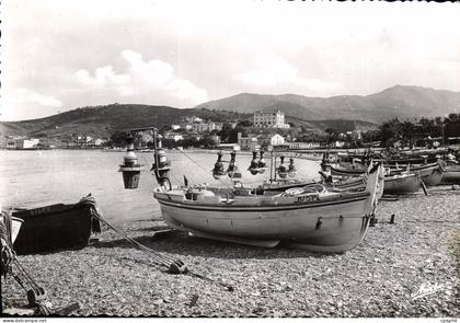 CPSM Banyuls Sur Mer Les Barques Equipees lamparo