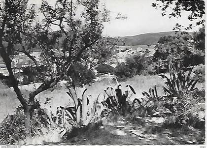 CPSM Banyuls sur Mer vue générale