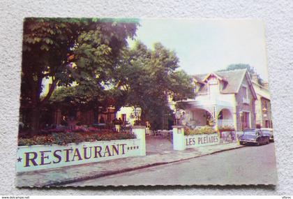 H616, Cpm 1995, Barbizon, les Pléiades, Seine et Marne 77