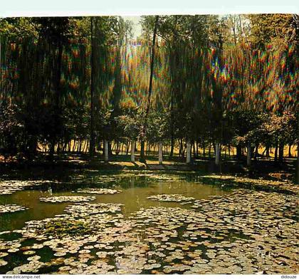 Carte Postale - 32 - Barbotan les Thermes - Un coin du Parc avec les Nénuphars - Flamme Postale de Barbotan les Thermes