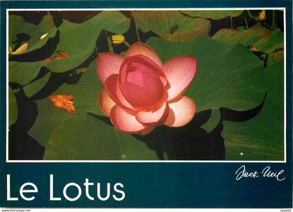 CPM Barbotan les Thermes Gers