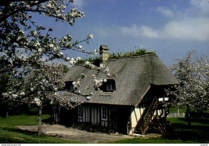 CPM La Normandie Pittoresque Cote fleurie Maison typique du marais Vernier