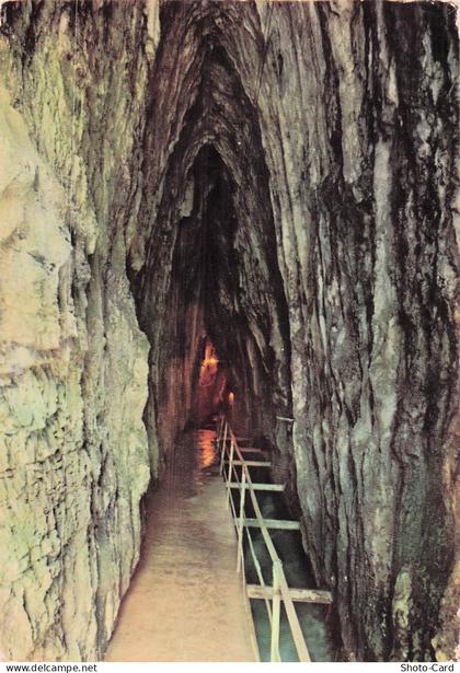 39 BAUME LES MESSIEURS GROTTES DE BAUME LES MESSIEURS