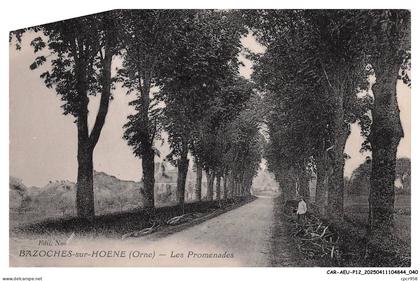 CAR-AEUP12-0602-61 - BAZOCHES-SUR-HOENE - Les promenades