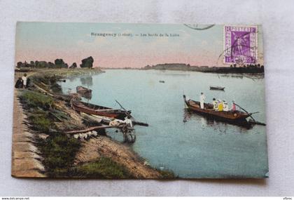 Beaugency, les bords de la Loire, Loiret 45