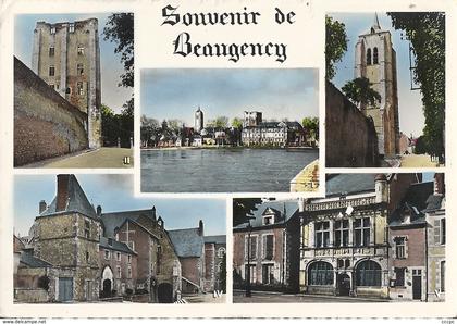 CPSM Souvenir de Beaugency vues multiples