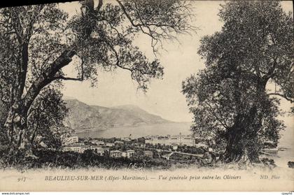 CPA Beaulieu sur Mer Alpes Maritimes Vue generale prise entre les Oliviers