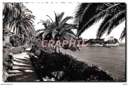 CPA Beaulieu sur Mer Le Jardin Exotique Au fond