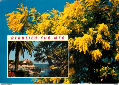 CPM La Cote d'Azur Beaulieu sur Mer