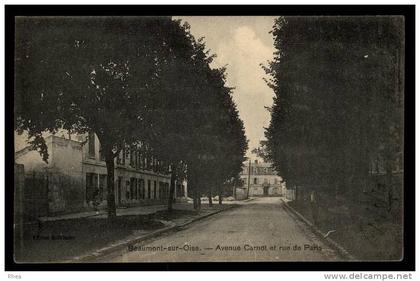 95 Beaumont-sur-Oise allee arbres D95D K95052K C95052C RH090679