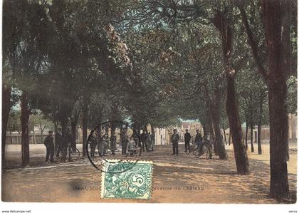 Carte Postale ANCIENNE de BEAUMONT sur OISE - Avenue du Château