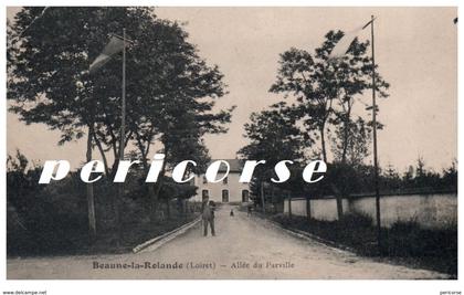 45  Beaune la Rolande  Allée du Parville