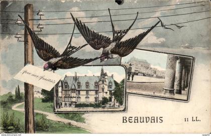 CPA Beauvais Hirondelles