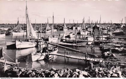 Beauvoir sur mer   - CPSM °J
