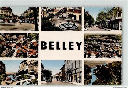 51891535 - Belley