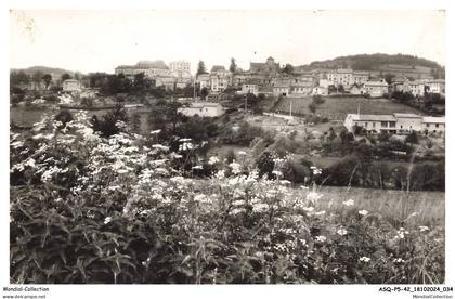 ASQP5-0270-42 - BELMONT DE LA LOIRE - Vue générale