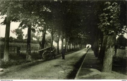 Bethune - L'Allee des Marronniers - Chesnut Trees - CPA