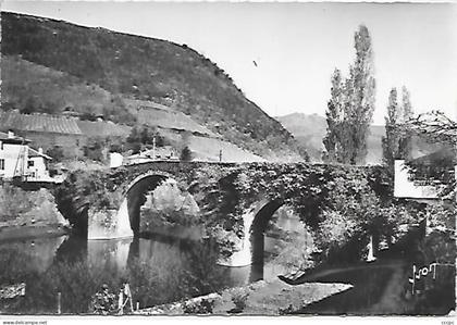 CPSM Bidarray Le Pont Noblia et l'Hôtel Noblia