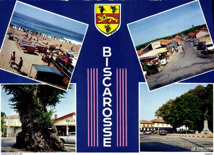 CPSM Biscarrosse Landes Divers aspects