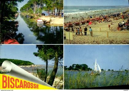 CPSM Biscarrosse Landes Plage Blonde ciel bleu et pins Verdoyants