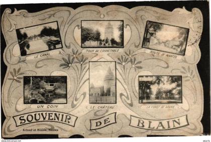 CPA Souvenir de BLAIN (222630)