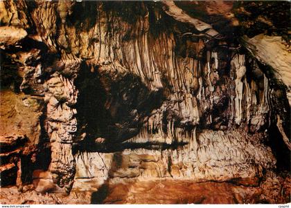 CPM Les Grottes d'Arcy sur Cure (Yonne) la salle de la vierge