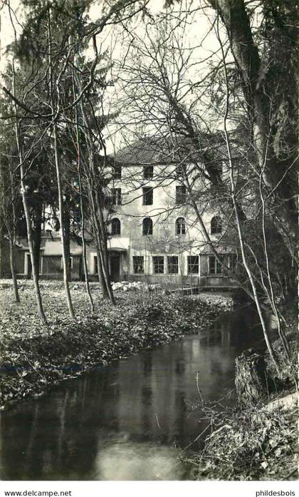 ESSONNE  BOISSY LA RIVIERE   (cpsm)