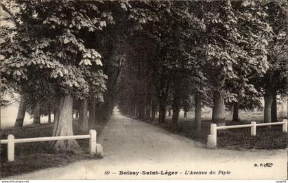 Boissy Saint Leger - L'Avenue du Piple CPA