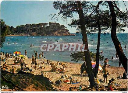 CPM La Cote d'Azur Varoise Bormes les Mimosas Var