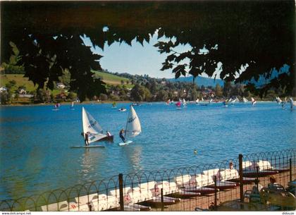 Carte Postale - 38 - Paladru Charavines - Le Lac de Paladru Charavines - Planche à Voile - CPM - Carte Neuve - Voir Scan