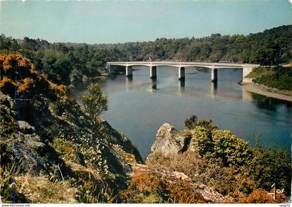 CPM Le Pont Saint Maurice sur la Laita