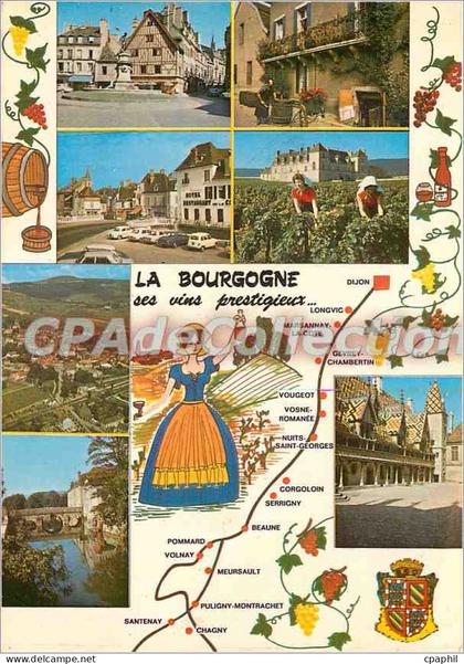 CPSM La Bourgogne ses Vins prestigieux