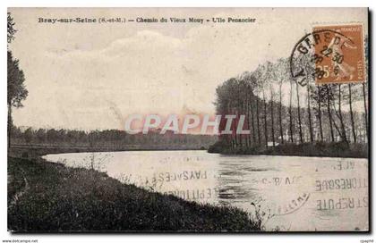 CPA Bray sur Seine Chemin du vieux Mouy L ile penancier