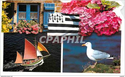 CPM Bretagne Mouette Bateau